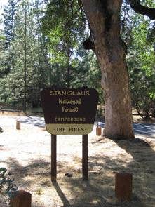 Camper submitted image from Pines Group Stanislaus — Stanislaus National Forest - 2