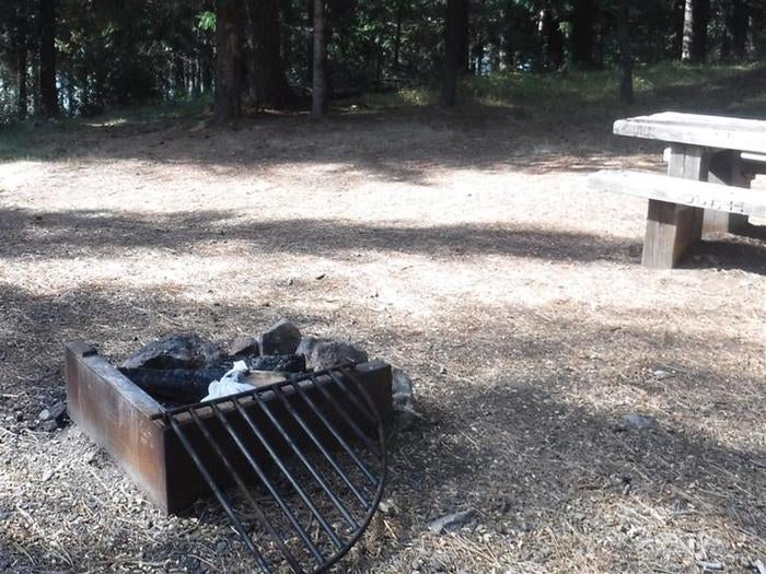 Camper submitted image from Bunker Hill Campground - 5