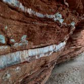 Review photo of Caprock Canyons State Park Campground by Troy W., April 30, 2019