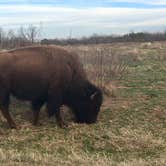 Review photo of Caprock Canyons State Park Campground by Troy W., April 30, 2019