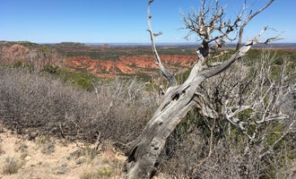 Camping near Wild Horse Equestrian Area — Caprock Canyons State Park: South Prong Primitive Camping Area — Caprock Canyons State Park, Quitaque, Texas