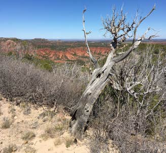 Camper-submitted photo from South Prong Primitive Camping Area — Caprock Canyons State Park