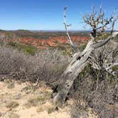 Review photo of Caprock Canyons State Park Campground by Troy W., April 30, 2019