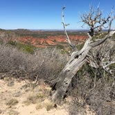Review photo of South Prong Primitive Camping Area — Caprock Canyons State Park by Troy W., April 30, 2019
