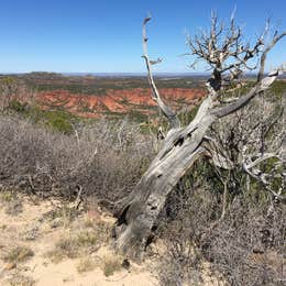 South Prong Primitive Camping Area — Caprock Canyons State Park
