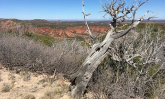 Camping near Wayne Russell RV Park: South Prong Primitive Camping Area — Caprock Canyons State Park, Quitaque, Texas