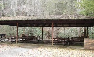 Camping near Kingdom Come State Park Campground: Phillip's Creek Group Picnic Area, Pound, Virginia