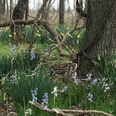 Review photo of Wayne Fitzgerrell State Park Campground by Annie C., April 30, 2019