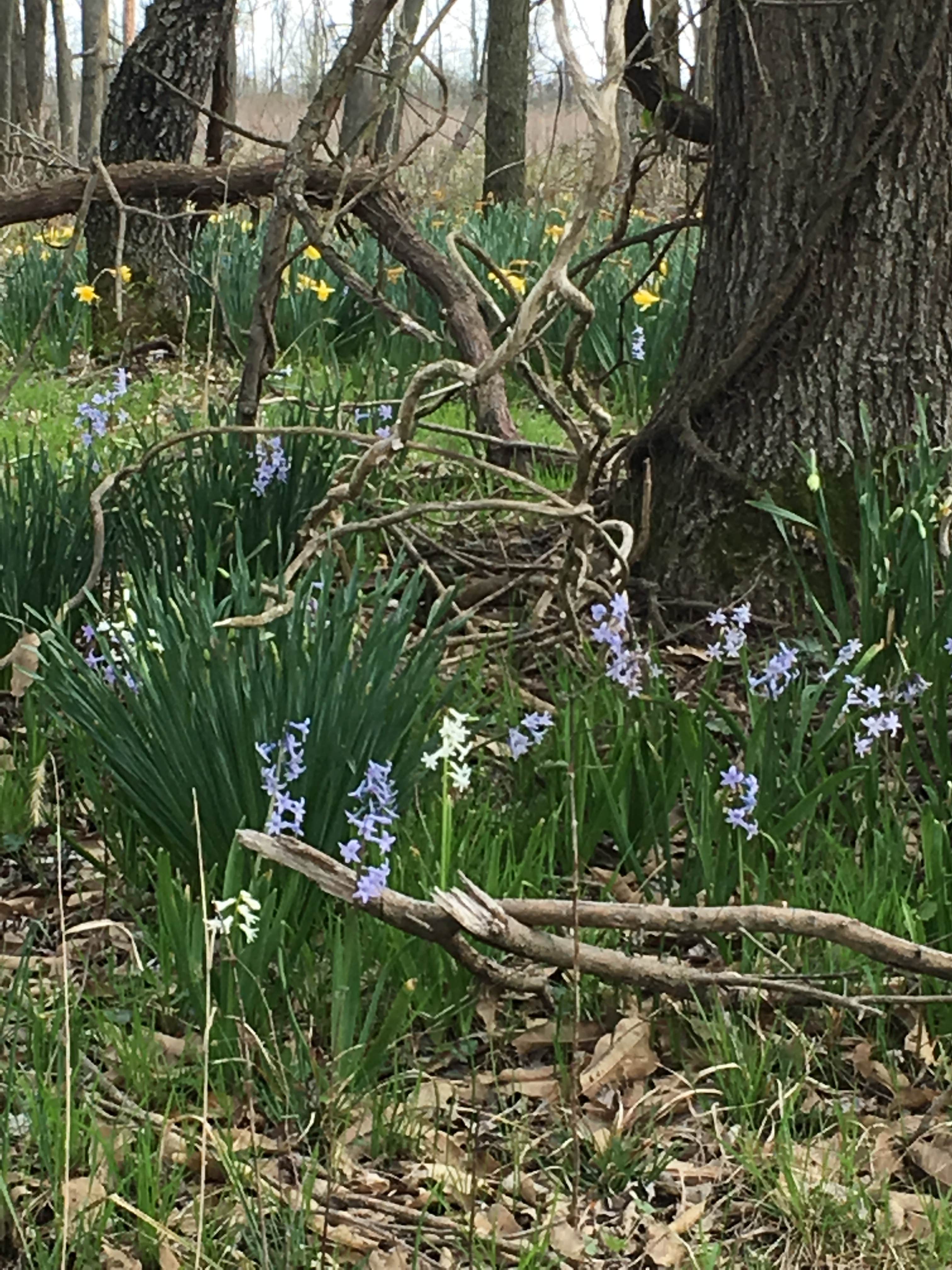 Camper submitted image from Wayne Fitzgerrell State Park Campground - 2