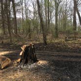 Review photo of Wayne Fitzgerrell State Park Campground by Annie C., April 30, 2019