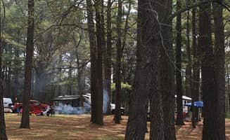 Annie C.'s photo at Gun Creek near Rend Lake