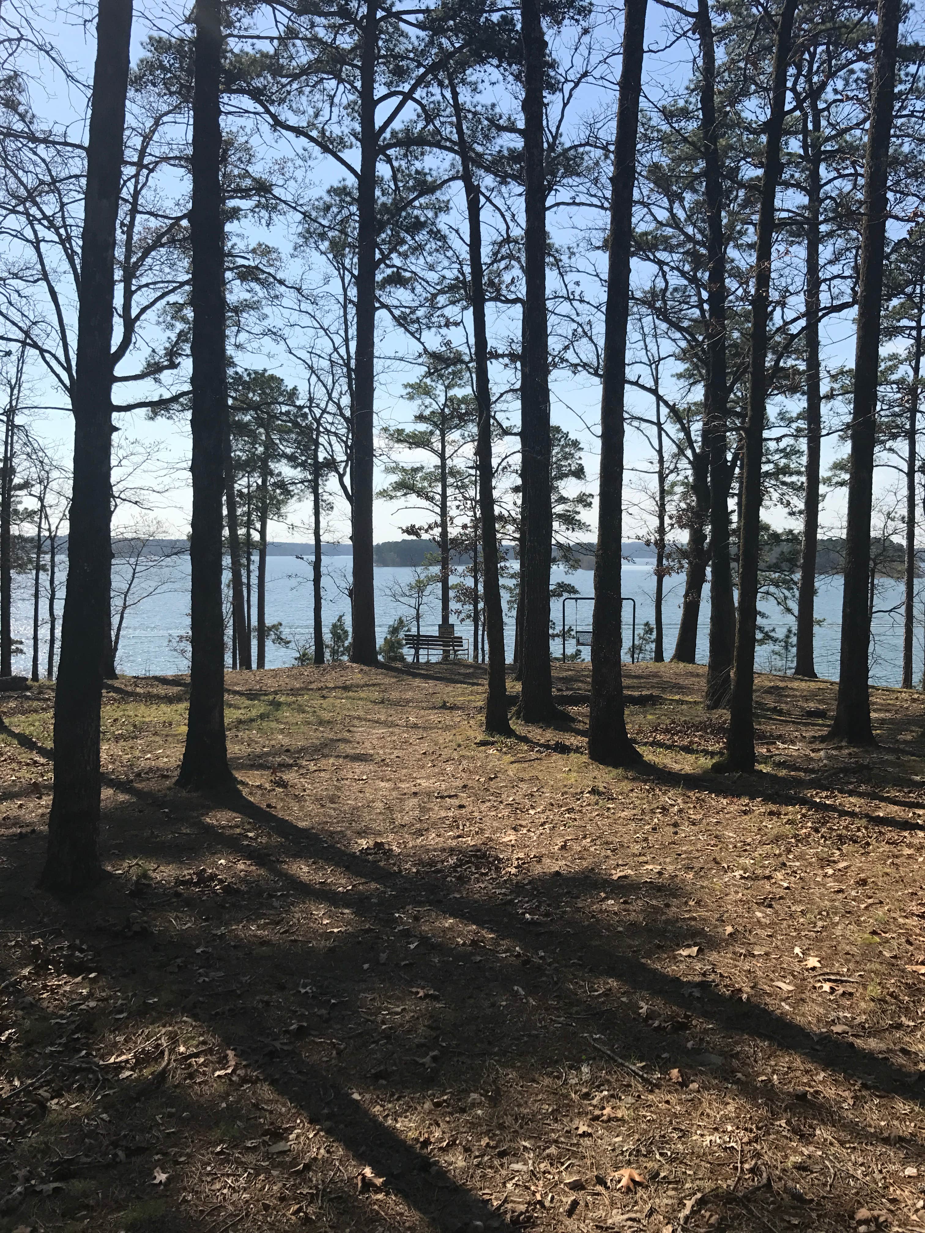 Camper submitted image from Arlie Moore - De Gray Lake - 2