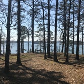 Review photo of Arlie Moore - De Gray Lake by tiffany H., April 30, 2019