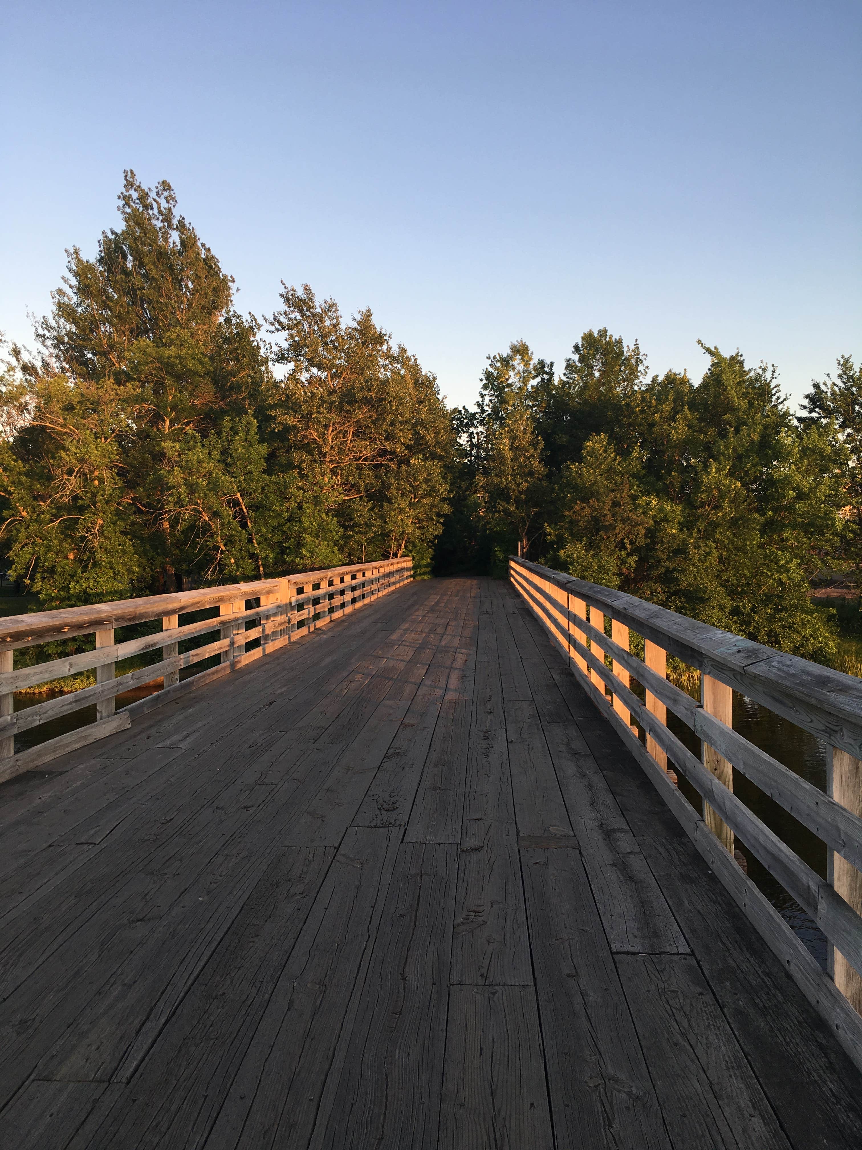 Camper submitted image from Spafford City Park - 3