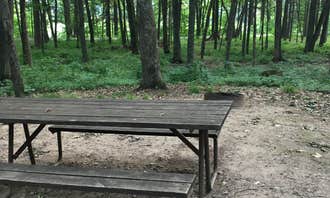 Camping near Lakeview Park: Council Grounds State Park, Merrill, Wisconsin