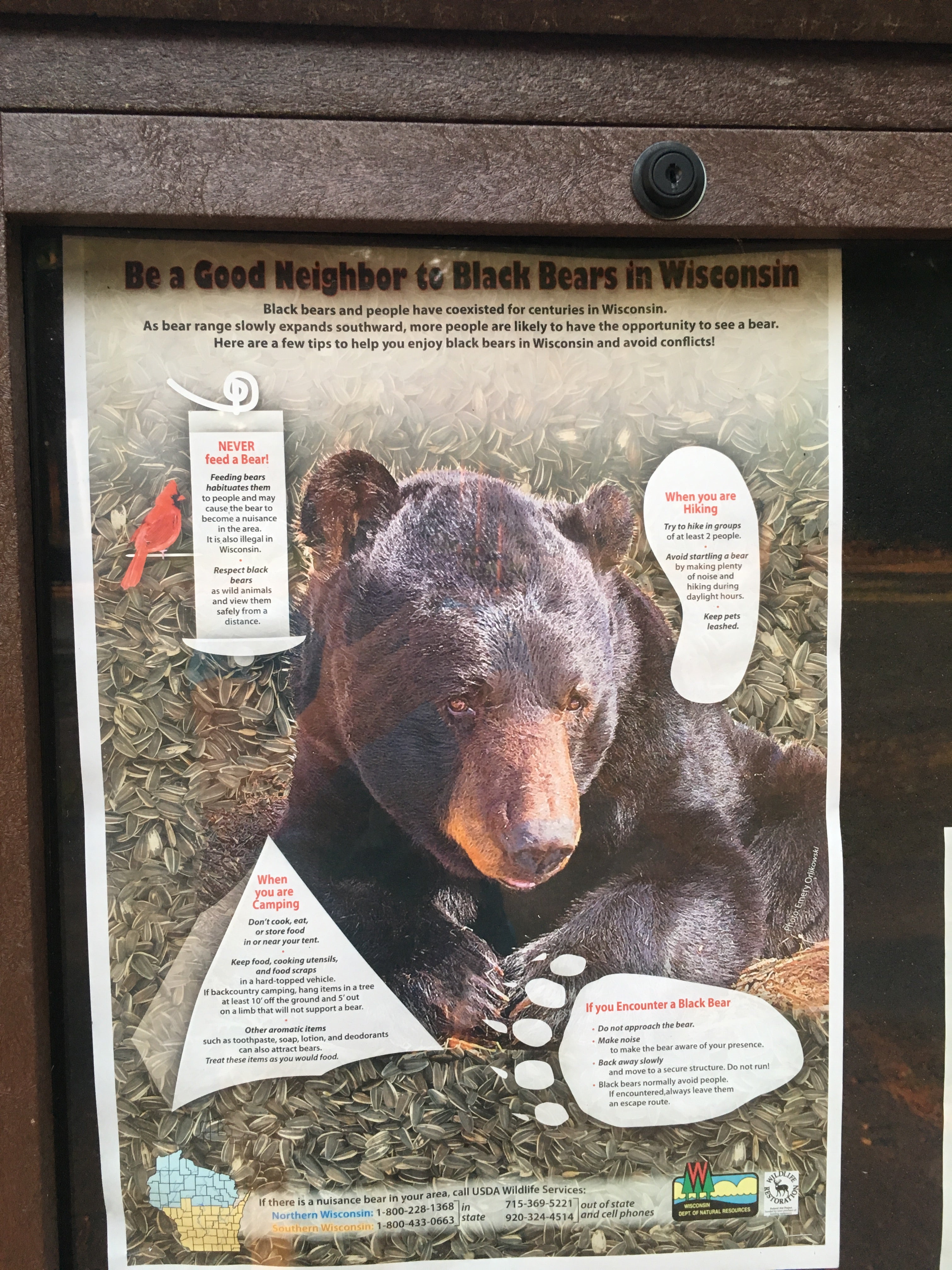 A little education. But no bear boxes in the campground. Hmmm.