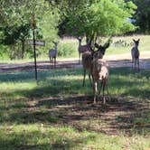 Review photo of Boulderdash Cabin & RV Park by Crystal C., April 30, 2019