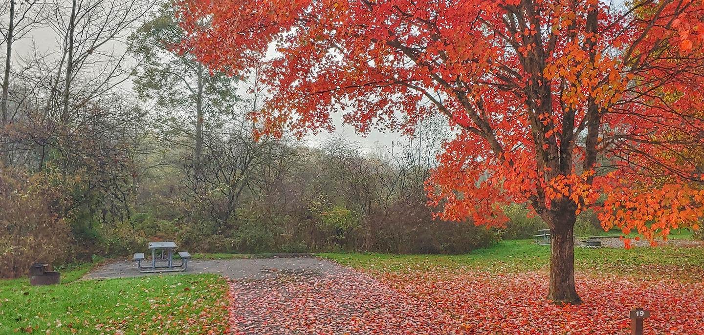 Camper submitted image from Kellettville Recreation Area (PA) - 1