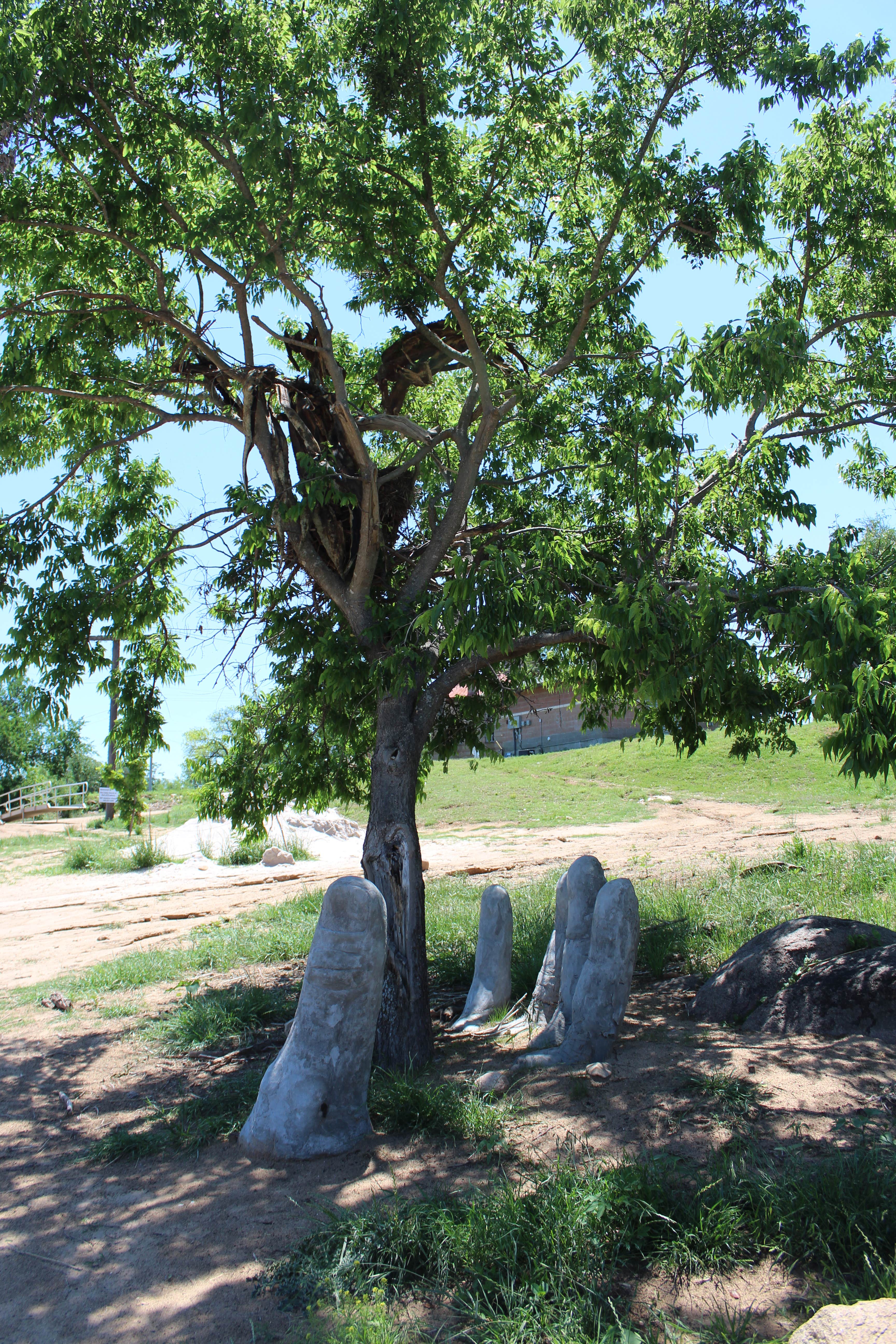Camper-submitted photo at Grenwelge Park near Fredericksburg, TX