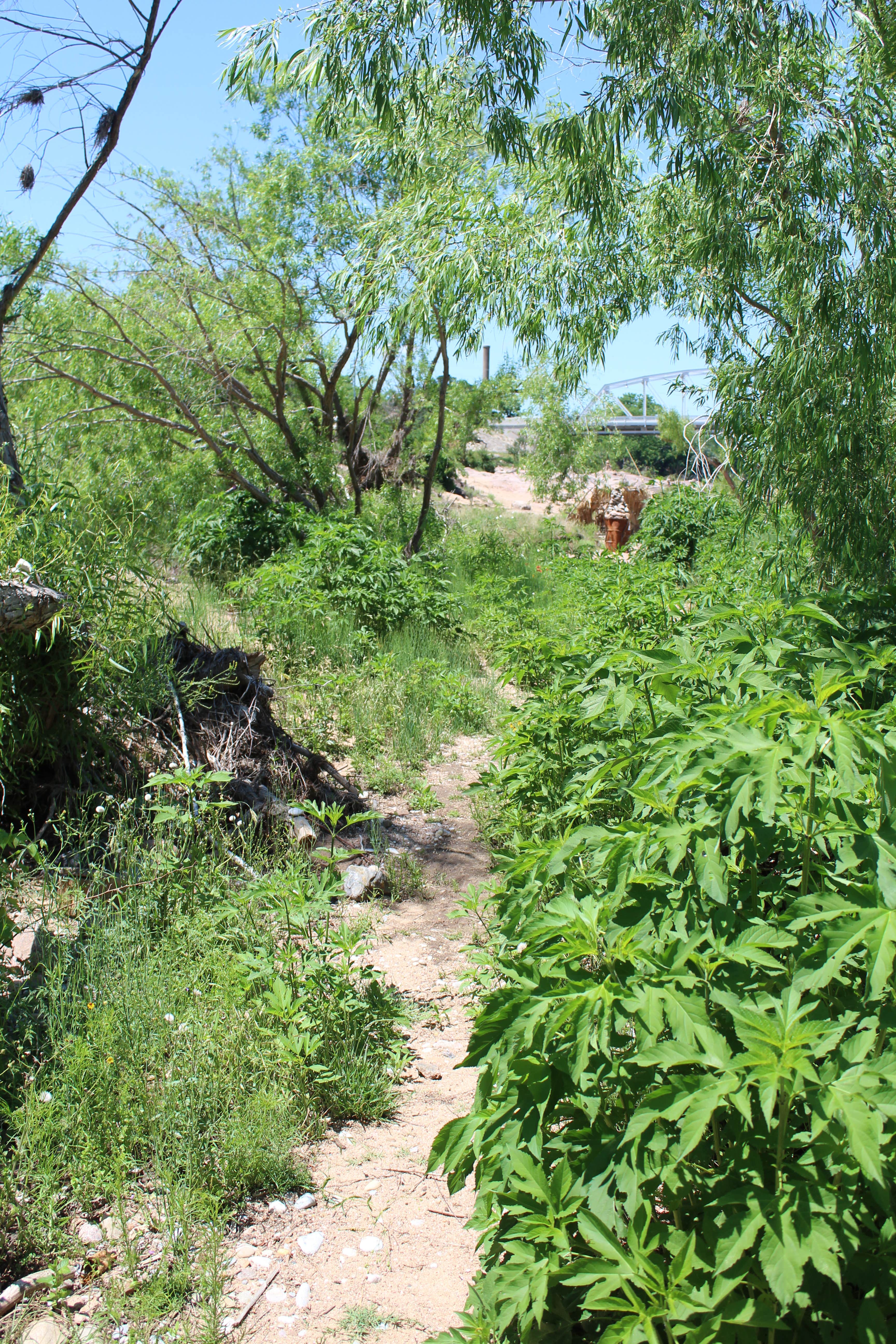 Camper-submitted photo at Grenwelge Park near Fredericksburg, TX