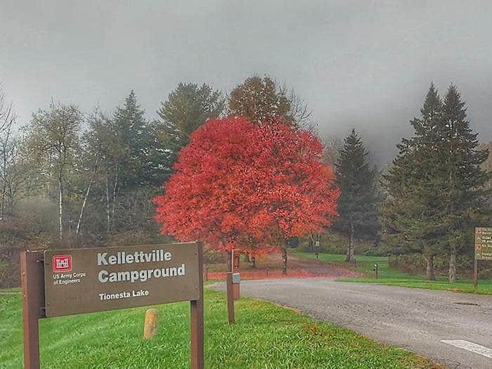 Camper submitted image from Kellettville Recreation Area (PA) - 2