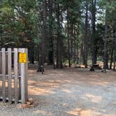 Review photo of Mt. Lassen-Shingletown KOA by Brian C., September 1, 2018