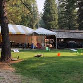 Review photo of Mt. Lassen-Shingletown KOA by Brian C., September 1, 2018