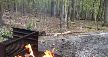 William Houck Campground