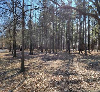 Camper-submitted photo from Maumelle Park