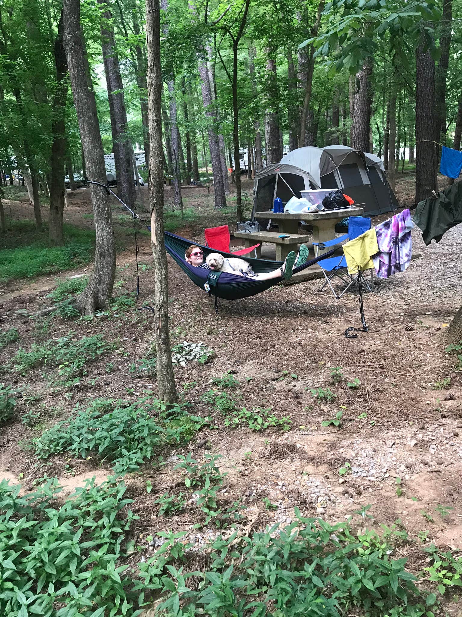 Katie S.'s photo at Joe Wheeler State Park Campground near Florence, AL