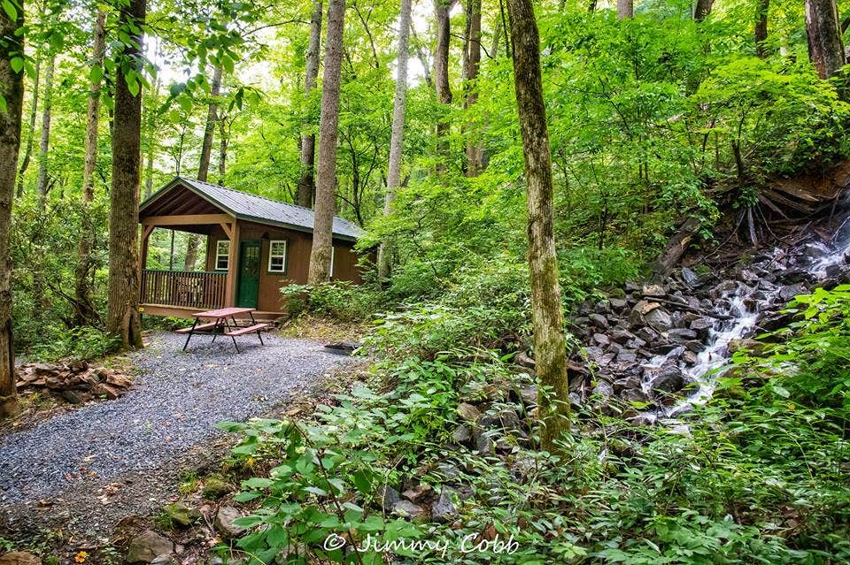 Dana C.'s photo of glamping accommodations at Moonshine Creek Campground near Candler, NC