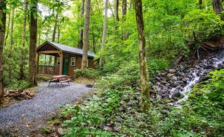 Dana C.'s photo of a cabin at Moonshine Creek Campground near Cashiers, NC