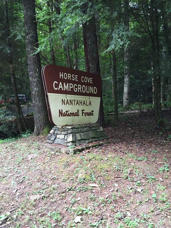 Horse Cove Campground The Dyrt