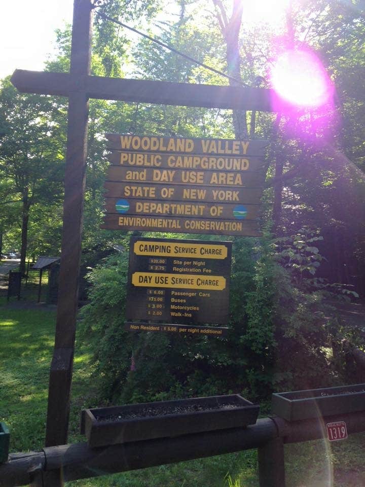 Camper submitted image from Woodland Valley Campground — DEC - 5