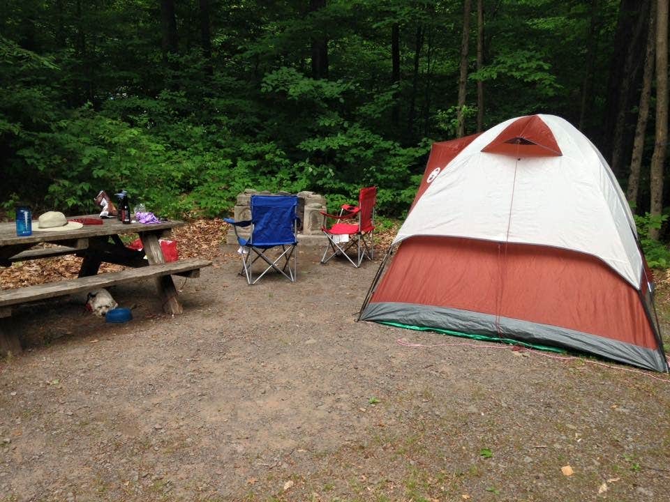 Katie S.'s photo at Woodland Valley Campground — DEC near Shokan, NY