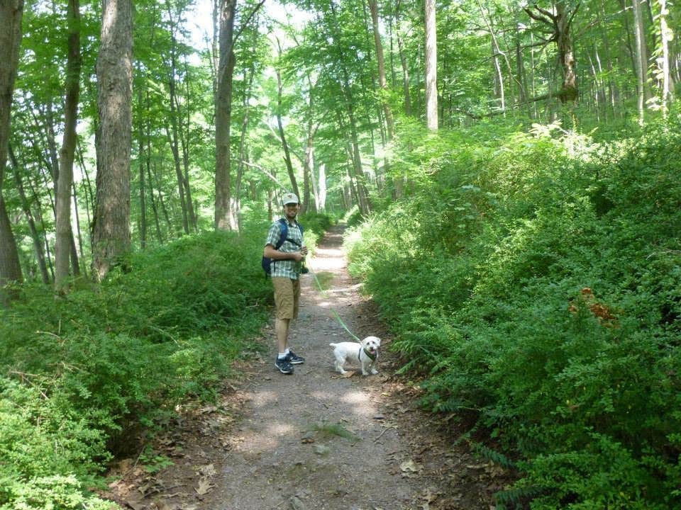 Katie S.'s photo of camping with pets at Camp Taylor Campground in New Jersey