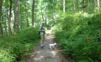 Katie S.'s photo of camping with pets at Camp Taylor Campground near Delaware Water Gap National Recreation Area