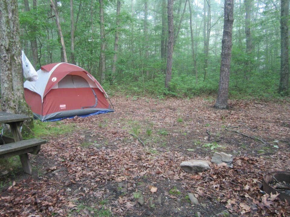 Katie S.'s photo of tent camping at Mauch Chunk Lake Park near Avoca, PA