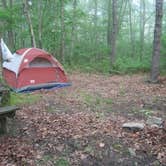 Review photo of Mauch Chunk Lake Park by Katie S., April 30, 2019