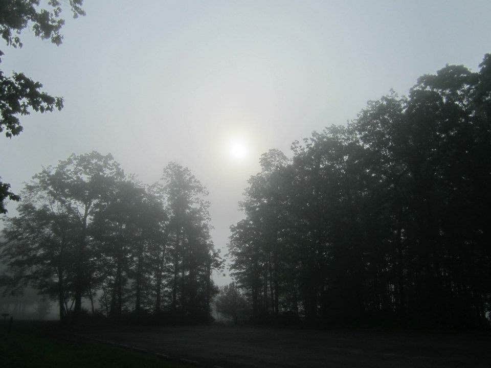 Camper submitted image from Mauch Chunk Lake Park - 2