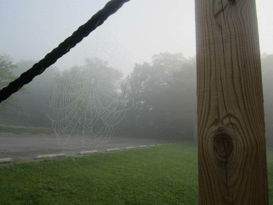 Camper-submitted photo at Mauch Chunk Lake Park near Slatington, PA
