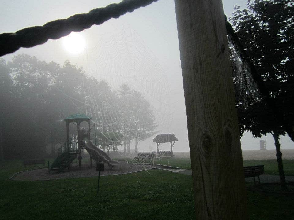 Camper submitted image from Mauch Chunk Lake Park - 3