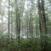 Review photo of Mauch Chunk Lake Park by Katie S., April 30, 2019