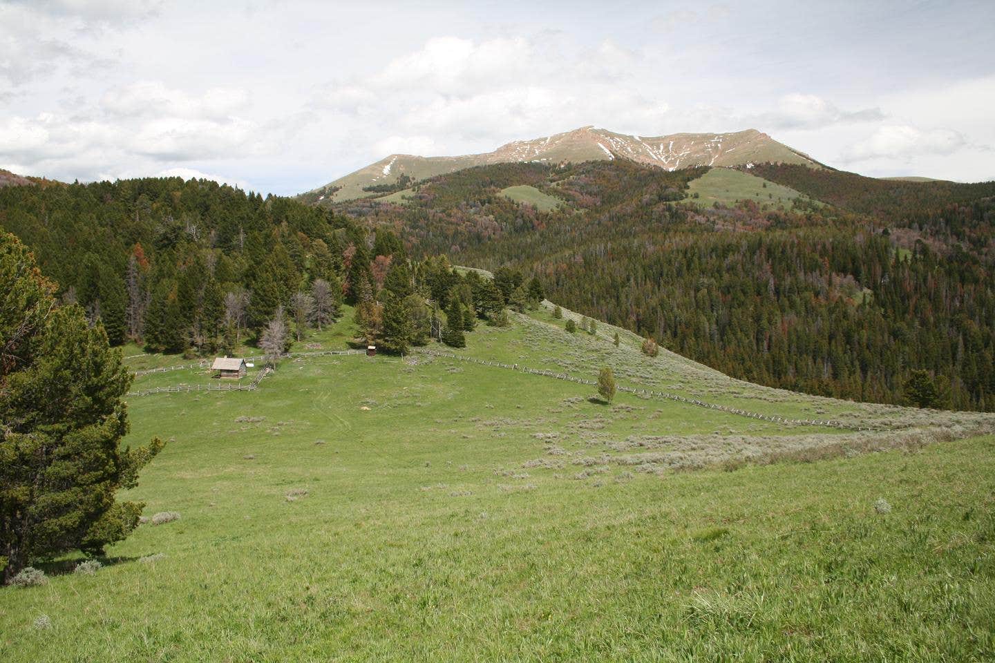 Camper submitted image from Antone Cabin - 3