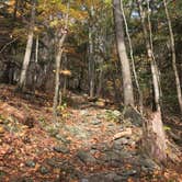 Review photo of Copake Falls Area — Taconic State Park by Priscilla M., April 30, 2019