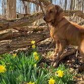 Review photo of Chain O' Lakes State Park Campground by Bethany S., April 30, 2019