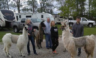 Angela H.'s photo of camping with pets at Indian Creek Camp & Conference Center near Tipton, MI