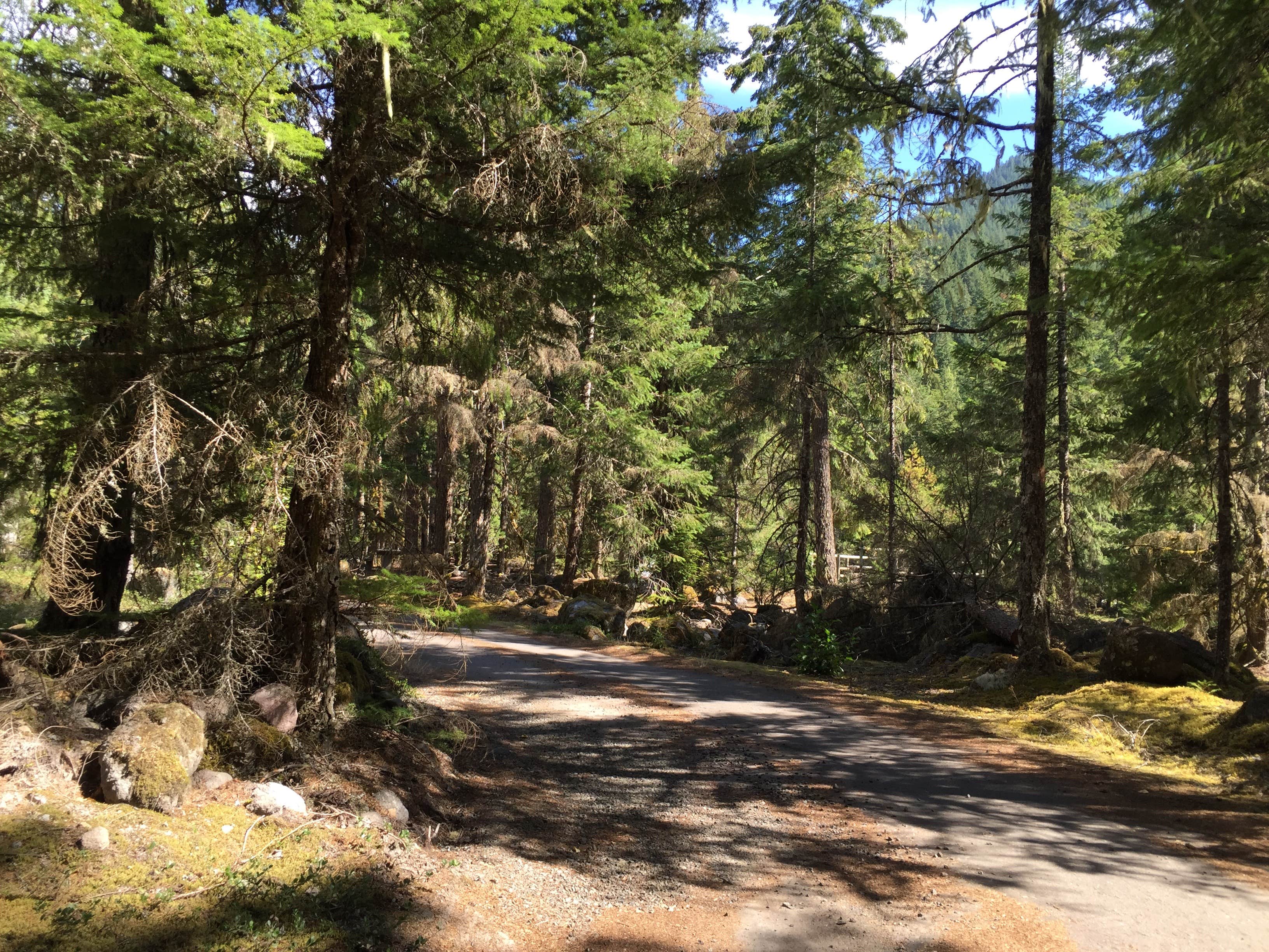 Camper-submitted photo at Riley Horse Campground near Rhododendron, OR