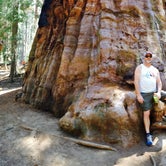 Review photo of Lodgepole Campground — Sequoia National Park by Erik S., April 30, 2019