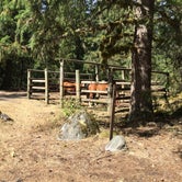 Review photo of Riley Horse Campground by Bjorn S., August 28, 2016